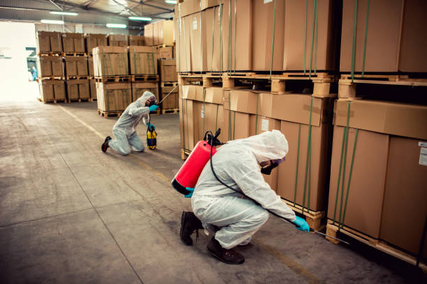 Best Termite Control Services  in Mechanicville, NY