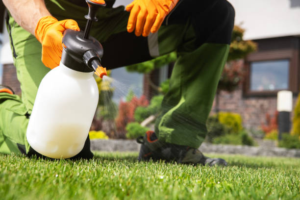 Best Termite Control Services  in Mechanicville, NY