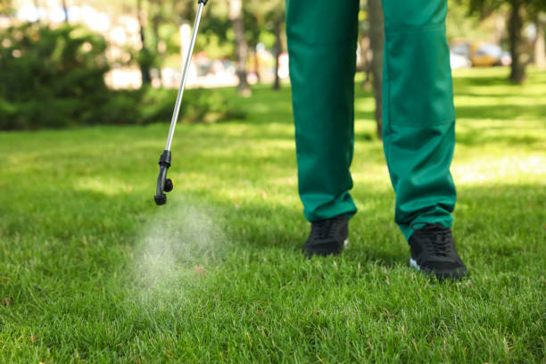 Best Best Pest Control Companies  in Mechanicville, NY