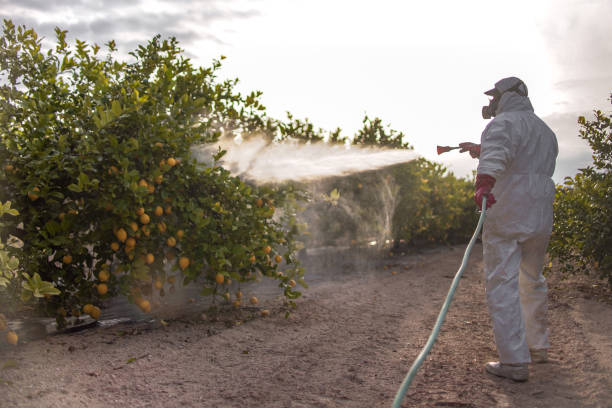 Best Best Pest Control Companies  in Mechanicville, NY
