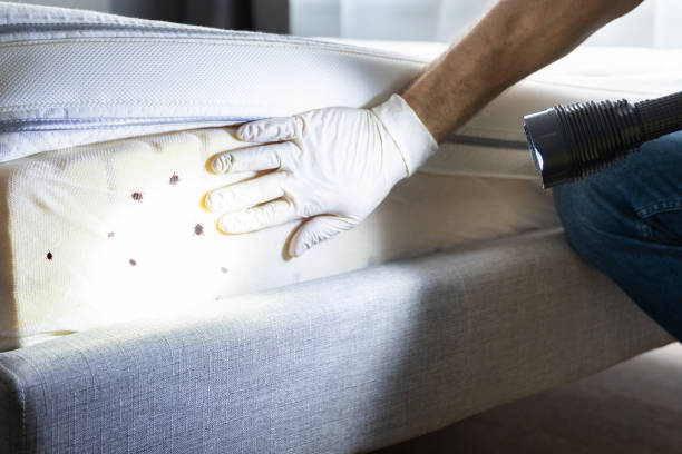 Best Affordable Pest Control Services  in Mechanicville, NY