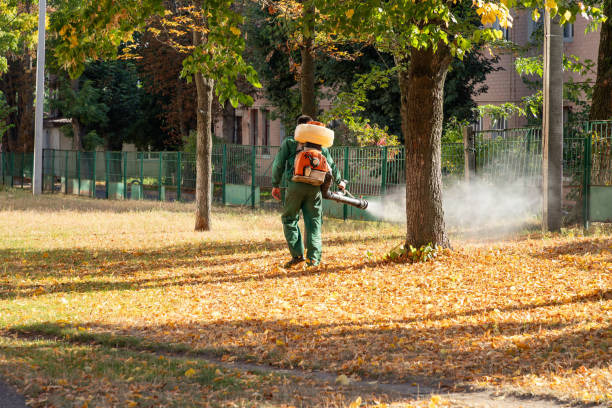 Best Spider Control Near Me  in Mechanicville, NY