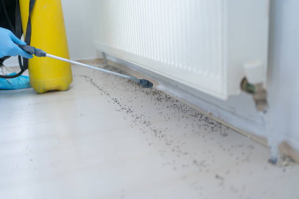 Pest Control Cost in Mechanicville, NY